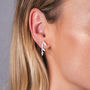 Sterling Silver Branch Stud Earrings, thumbnail 3 of 4