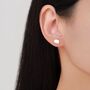 Hedgehog Stud Earrings, thumbnail 12 of 12