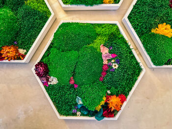 Hexagonal Moss Wall Art, Honeycomb Moss Wood Hexagon, 9 of 12