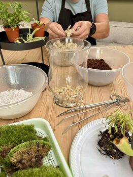 Carnivorous Plant Terrarium Workshop For Two, Manchester, 6 of 11