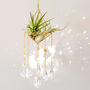 'Salute To The Sun' Crystal Airplant Suncatcher 40cm, thumbnail 1 of 3