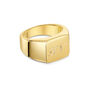 Rectangular Signet Ring 18 K Gold Plated Solid Silver, thumbnail 1 of 6