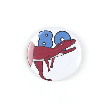 Number 80 Dinosaur Card And Badge Set, 3 of 4