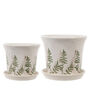 Varen Set Of Two Fern Planters With Trays, thumbnail 2 of 5