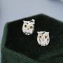 Cute Baby Owl Face Stud Earrings In Sterling Silver, thumbnail 7 of 11