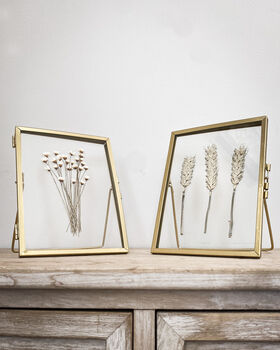Pair Of Gold Herbarium Frames, 5 of 6