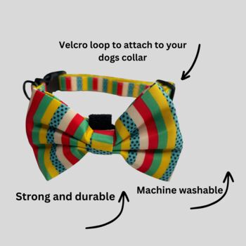 Multi Coloured Stripe Dog Harness Set, 3 of 7