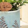Embossed Fern Plant Pot With Personalised Marker, thumbnail 3 of 6