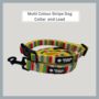 Multi Coloured Stripe Dog Collar And Lead, thumbnail 1 of 8