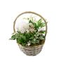 Large White Christmas Indoor Plant Basket Gift, thumbnail 3 of 3
