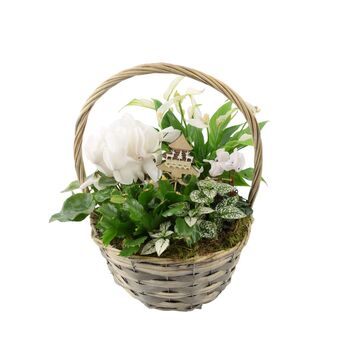 Large White Christmas Indoor Plant Basket Gift, 3 of 3
