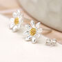 Two Tone Daisy Flower Stud Earrings In Sterling Silver, thumbnail 1 of 12