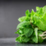 Mint Plants 'Peppermint', thumbnail 4 of 8