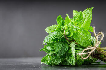 Mint Plants 'Peppermint', 4 of 8