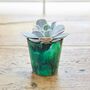 Recycled Plastic Mini Houseplant Pot, thumbnail 6 of 8