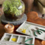Garden Posy Flower Vase Craft Kit, thumbnail 6 of 7