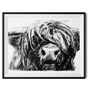 Highland Cow Charcoal Fine Art Giclée Print, thumbnail 2 of 3