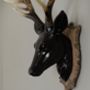 Large Black Deer Head Decoration, thumbnail 2 of 3