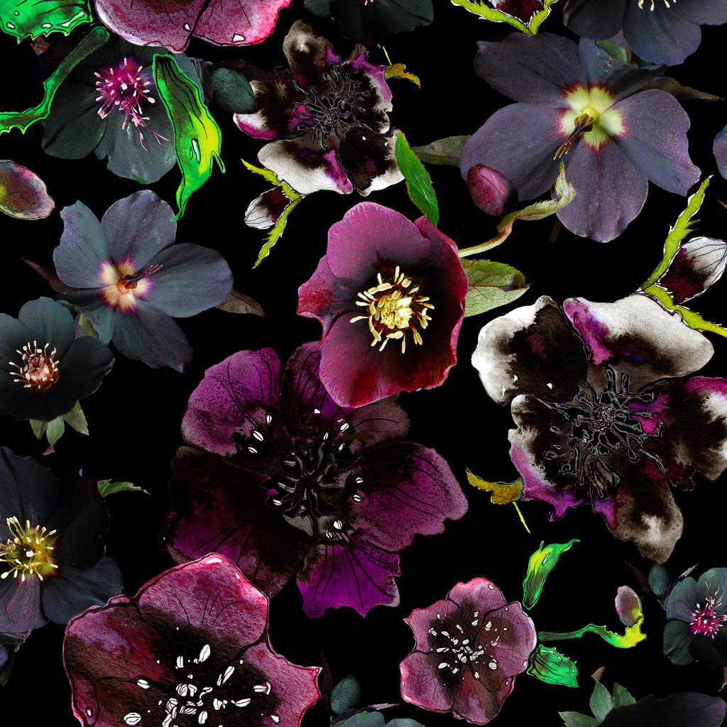 Midnight Floral Botanical Wallpaper By Terrarium Designs