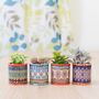 Set Of Four Colourful Christmas Plant Pots, thumbnail 1 of 3