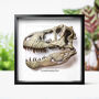 T Rex Dinosaur Skull Replica Wall Hanging Box Frame, thumbnail 1 of 4