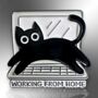 Working From Home Cat On Computer Enamel Pin Badge, thumbnail 3 of 8