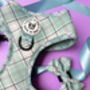 Dog Bow Tie In Green Sage Check Cat Bow Tie, thumbnail 3 of 6