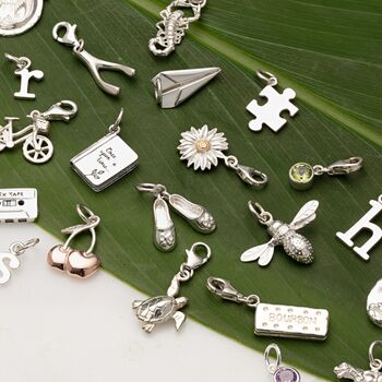 Selection Of Silver Charms By Lily Charmed | notonthehighstreet.com