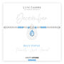 December Blue Topaz Birthstone Charm Bracelet Gift, thumbnail 3 of 4