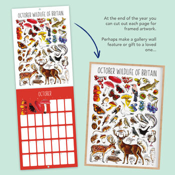 2027 British Wildlife Wall Calendar, 5 of 9