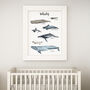 Whales Of The Oceans Illustrated Watercolour Art Print, thumbnail 3 of 5