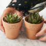 Couples Set Of Two Personalised Terracotta Plant Pots, thumbnail 1 of 5