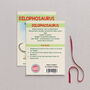 Wooden Dilophosaurus Dinosaur Christmas Tree Decoration, thumbnail 2 of 3