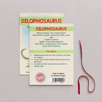 Wooden Dilophosaurus Dinosaur Christmas Tree Decoration, 2 of 3