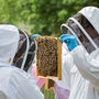 Rural Beekeeping And Craft Beer Experience For Two, thumbnail 5 of 9