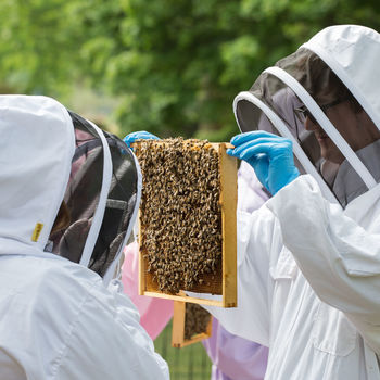Rural Beekeeping And Craft Beer Experience 2022 For Two, 5 of 9