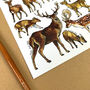 Deer Of Britain Watercolour Postcard, thumbnail 9 of 10