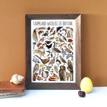 Farmland Wildlife Of Britain Greeting Card, 6 of 8