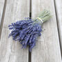 Dried Lavender Bunch, thumbnail 1 of 4