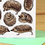 Hedgehogs Watercolour Blank Greeting Card, thumbnail 6 of 8