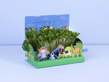 Grow Your Own Mini Farmyard Garden, 3 of 5
