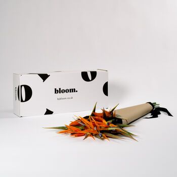 Orange Birds Of Paradise Fresh Flower Bouquet, 2 of 4