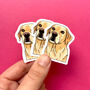 Personalised Waterproof Half Pet Portrait Stickers, thumbnail 10 of 12