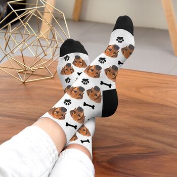 Dog Photo Socks, 3 of 6