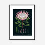 King Protea Black, Botanical Art Print, thumbnail 2 of 2