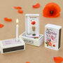 August Birth Flower Poppy Seeds And Birthday Candle, thumbnail 1 of 8