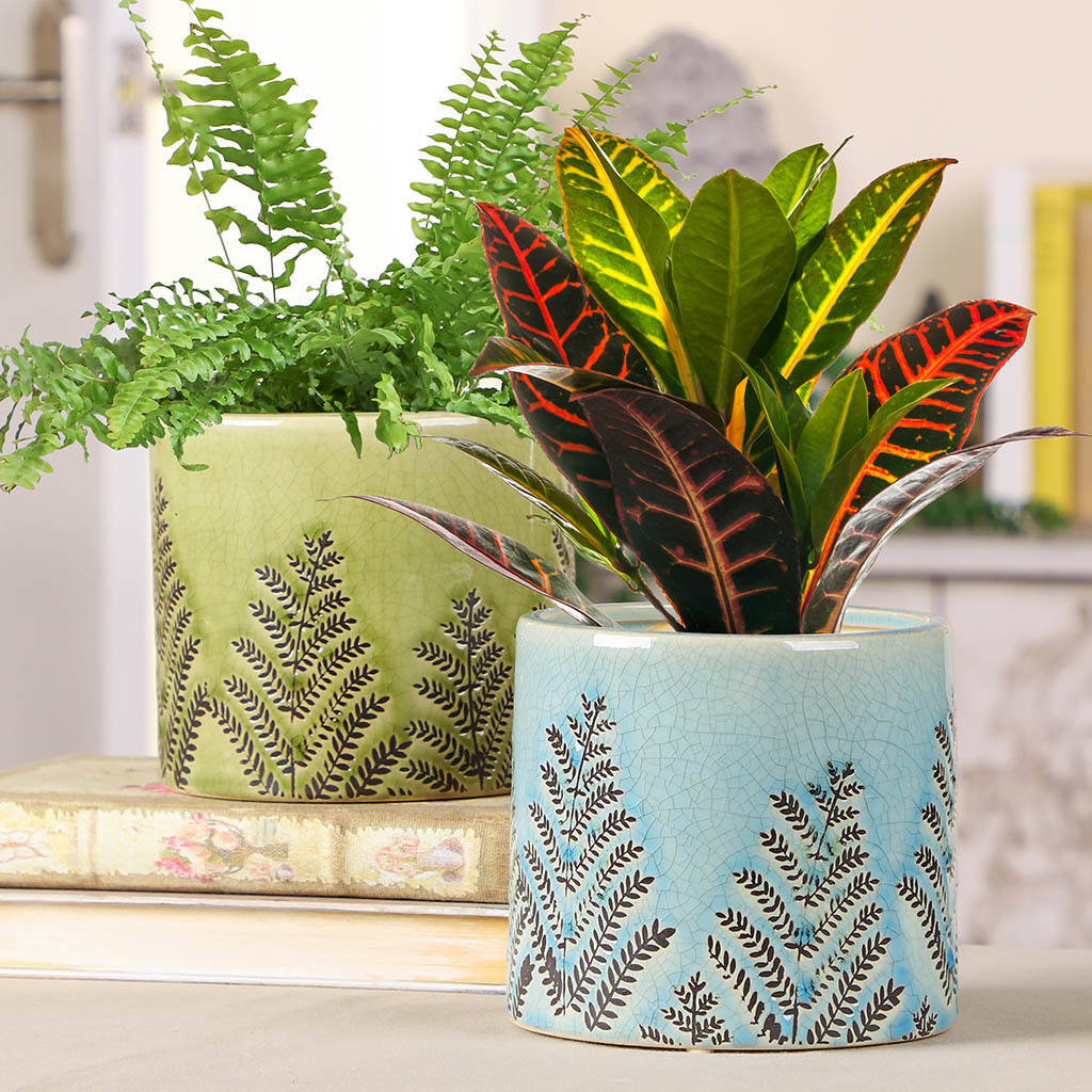 Set Of Two Ceramic Fern Plant Pots By Dibor