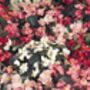 Begonia Semperflorens Mixed 12 Plants 2 X 6 Pack Bedding, thumbnail 3 of 3