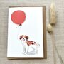 Personalised Kooikerhondje Dog Birthday Card, thumbnail 1 of 4