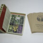 The Peace Garden Seeds, Multi Pack Collection, thumbnail 6 of 7